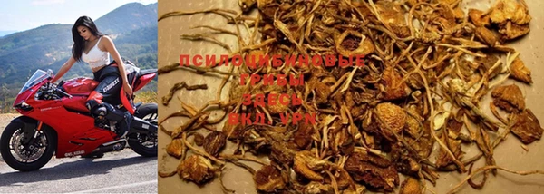 марки nbome Ростов