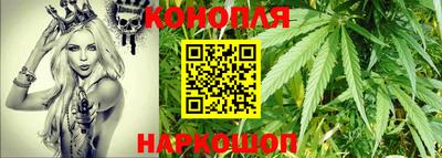 спиды Камышлов